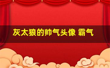 灰太狼的帅气头像 霸气